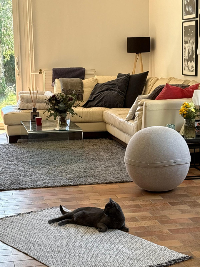 Offres de vente Maison Saint-Pryvé-Saint-Mesmin (45750)